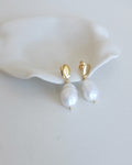 Forever Earrings, Freshwater Pearl