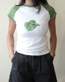 Moby Tee, Fish