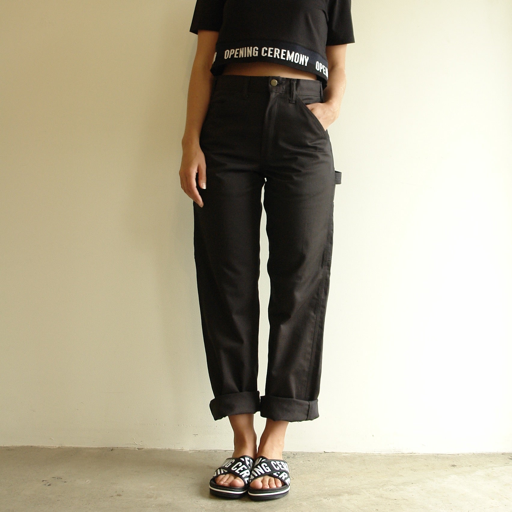 Stan Ray Painter Pant, Black Twill